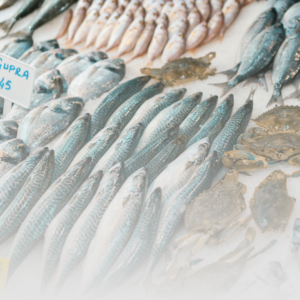 Pescado