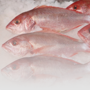Pargo